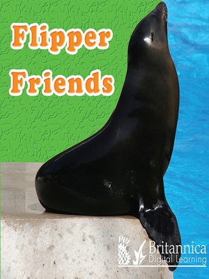 cover image of Flipper Friends